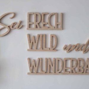 Schriftzug
